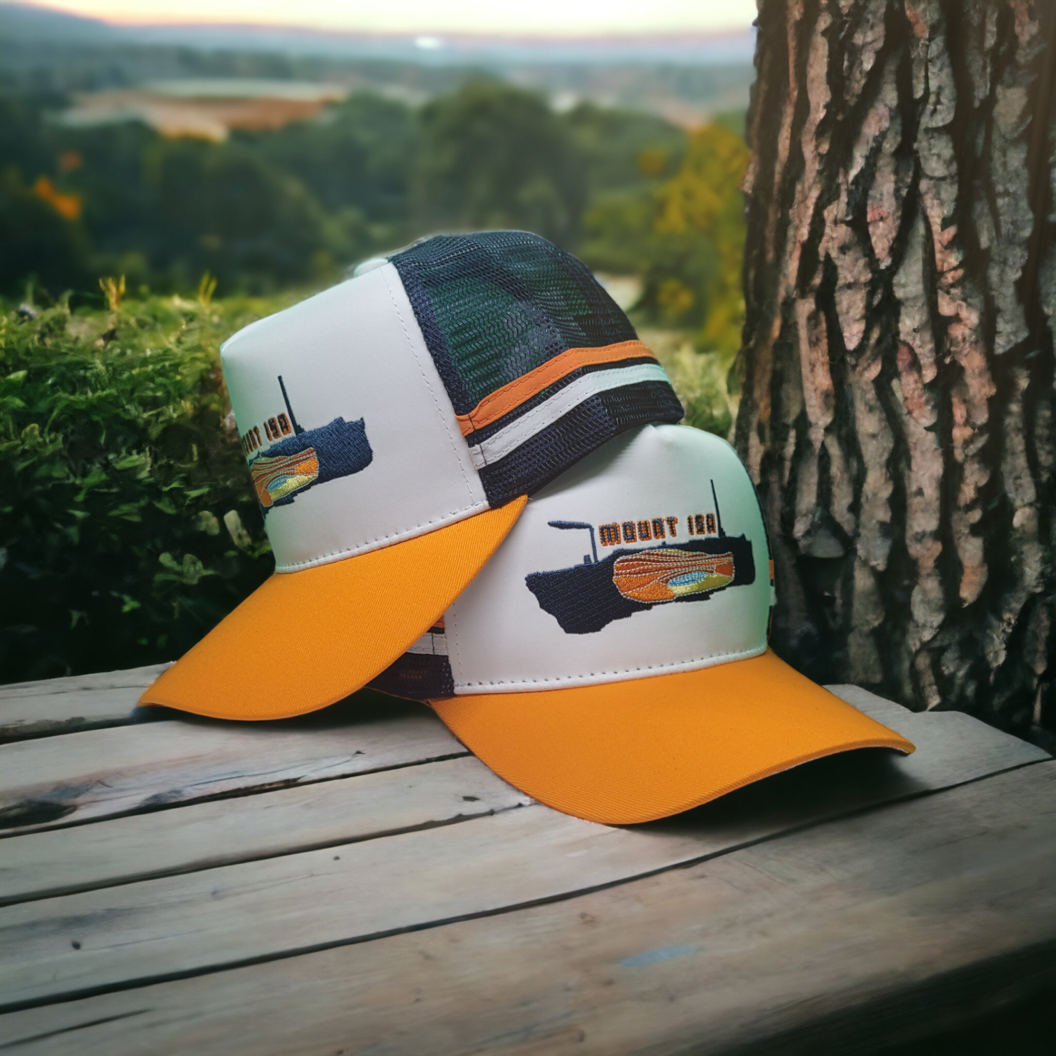 Mary Kathleen, The Ghost Town